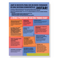Poster: ¿Qué se necesita para ser un buen ciudadano en una sociedad democrática?